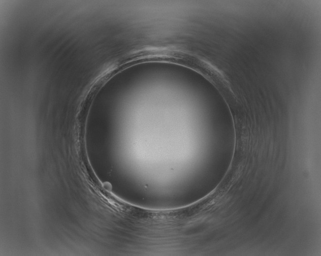 X0000054421411200507291237