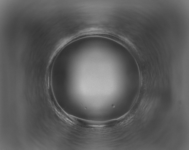 X0000054421413200507291237