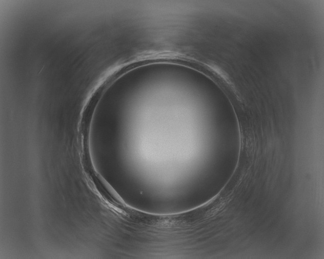 X0000054421414200507291237