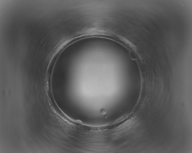 X0000054421415200507291237