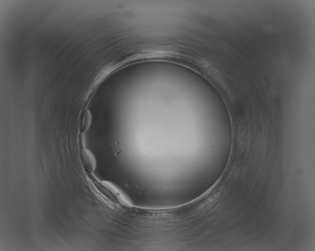 X0000054421417200507291237