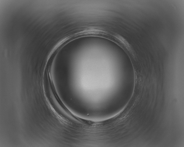 X0000054421418200507291237