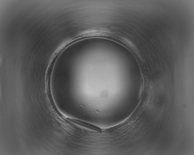 X0000054421419200507291237