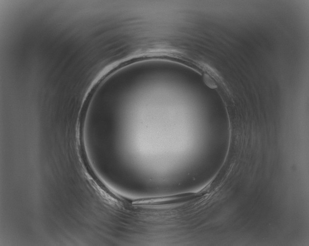 X0000054421420200507291237