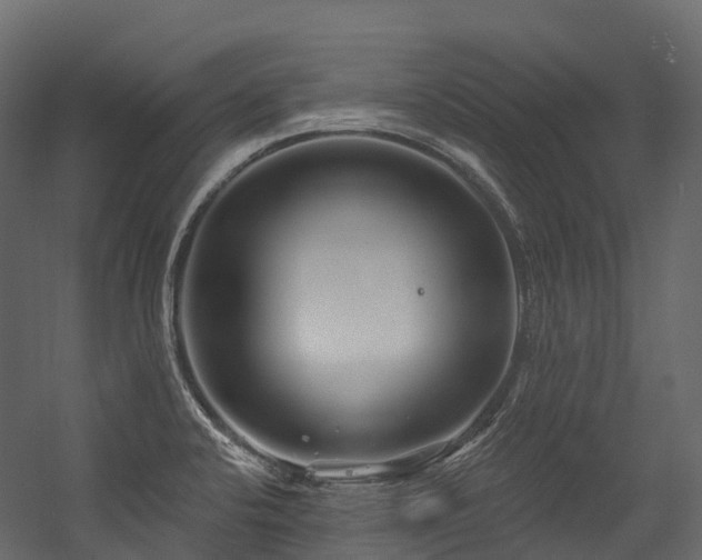 X0000054421424200507291237