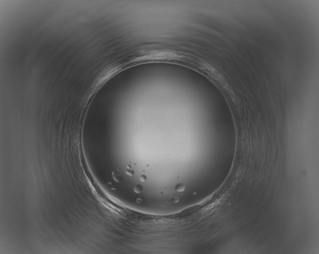 X0000054421425200507291237