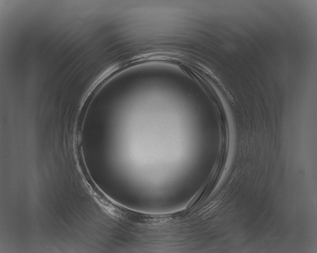 X0000054421426200507291237