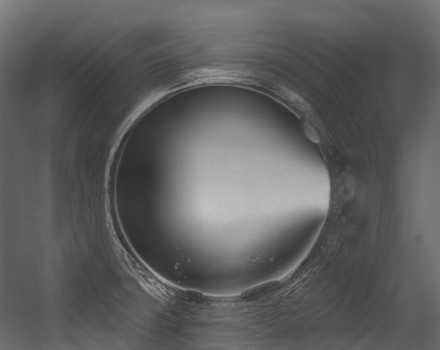 X0000054421427200507291237