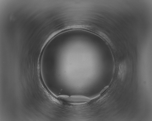 X0000054421428200507291237