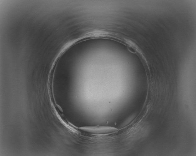 X0000054421429200507291237