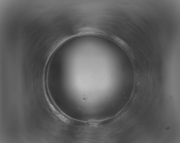 X0000054421431200507291237