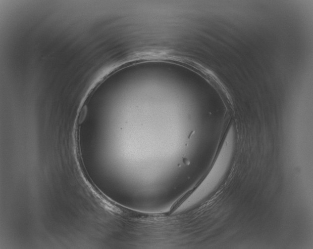 X0000054421432200507291237