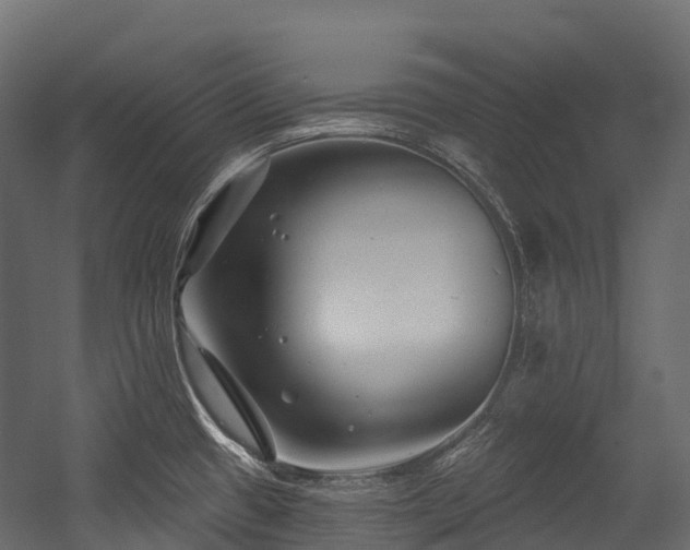 X0000054421433200507291237