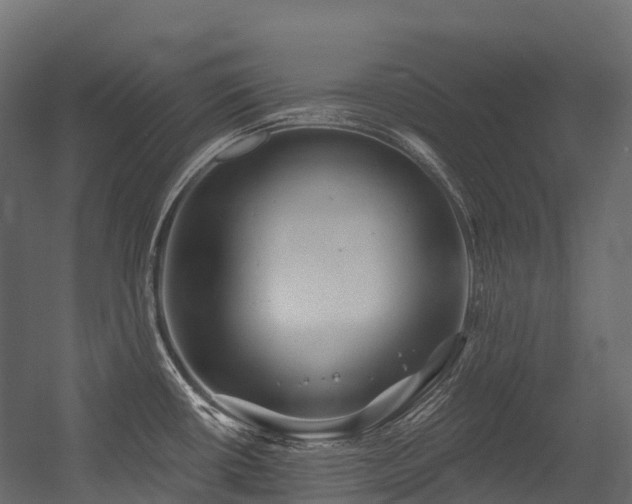 X0000054421434200507291237