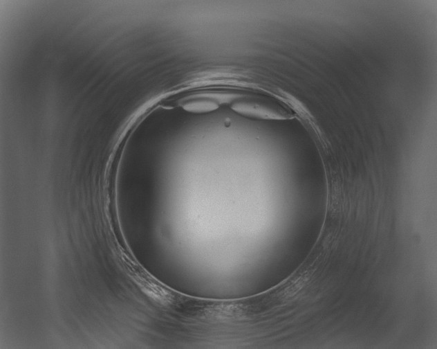 X0000054421435200507291237