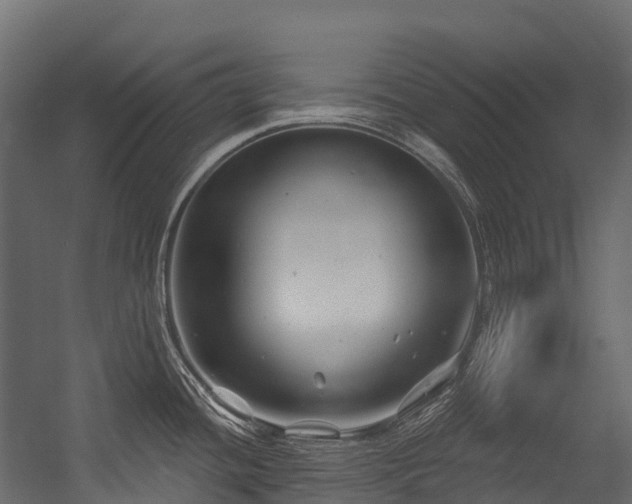 X0000054421436200507291237