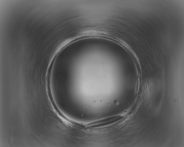 X0000054421437200507291237