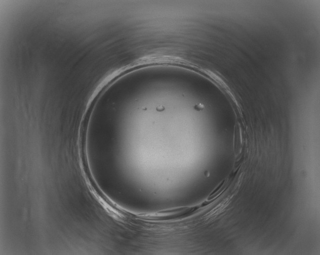 X0000054421438200507291237