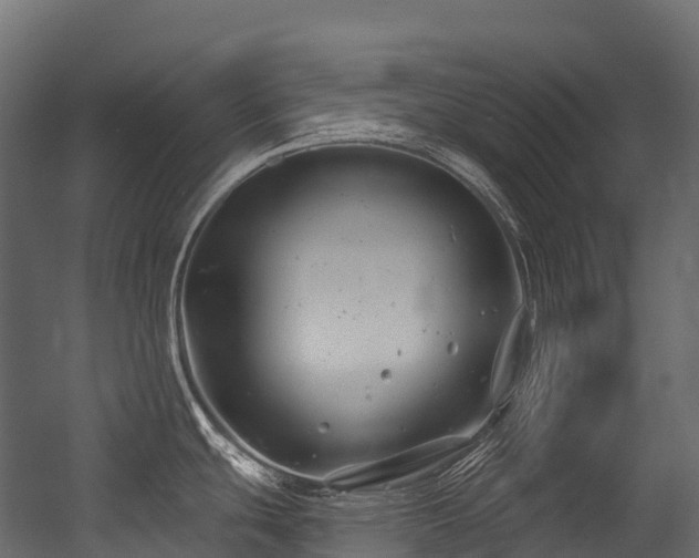 X0000054421439200507291237