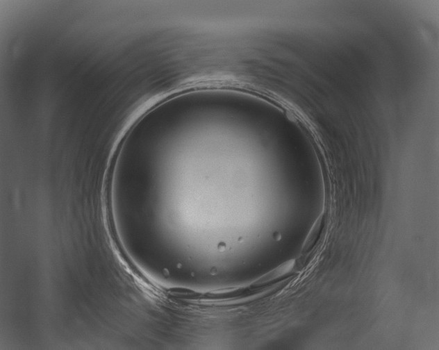 X0000054421440200507291237