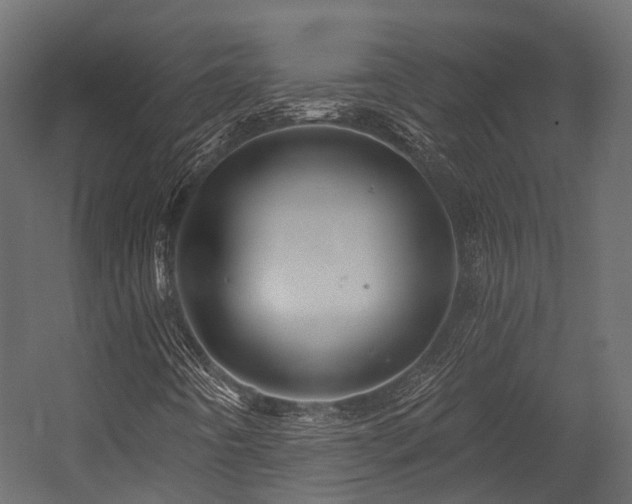 X0000054421442200507291237