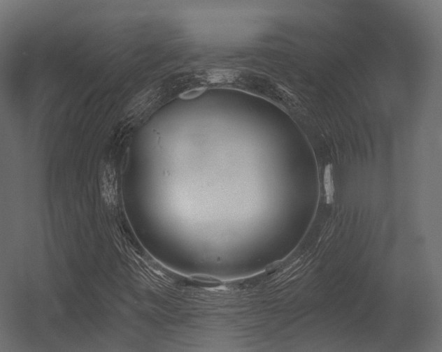 X0000054421443200507291237