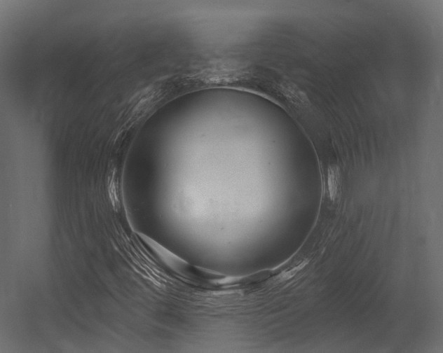 X0000054421444200507291237