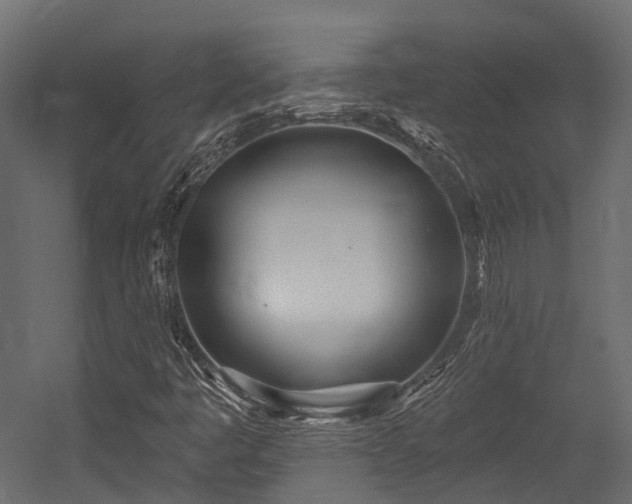 X0000054421445200507291237