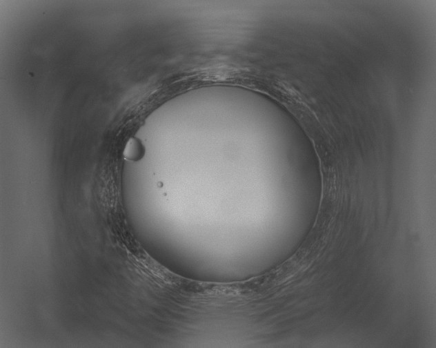 X0000054421446200507291237