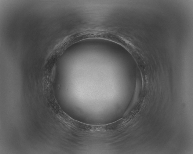 X0000054421447200507291237