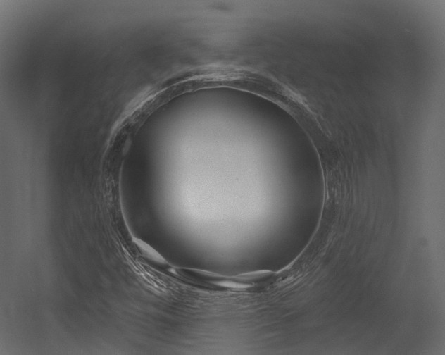 X0000054421448200507291237