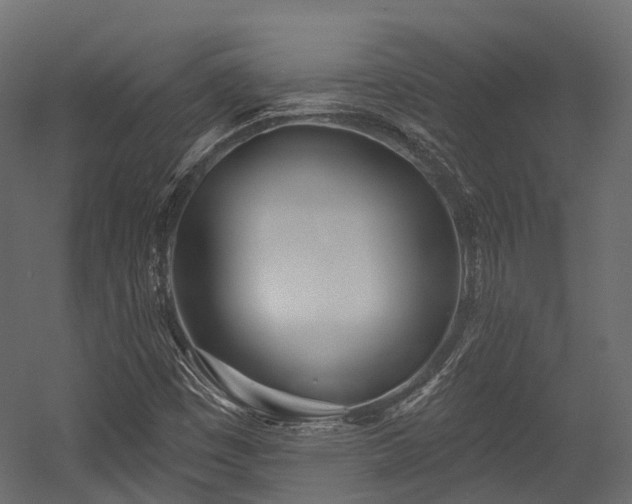 X0000054421449200507291236