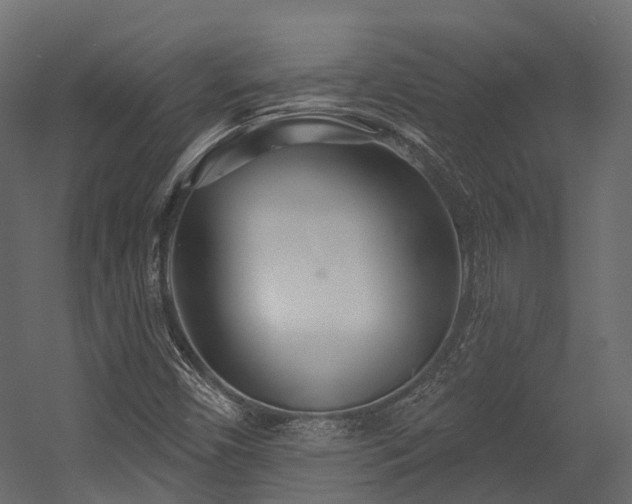 X0000054421450200507291236