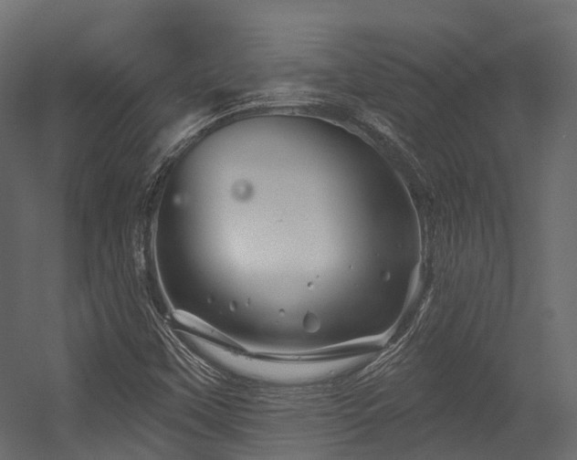 X0000054421451200507291236