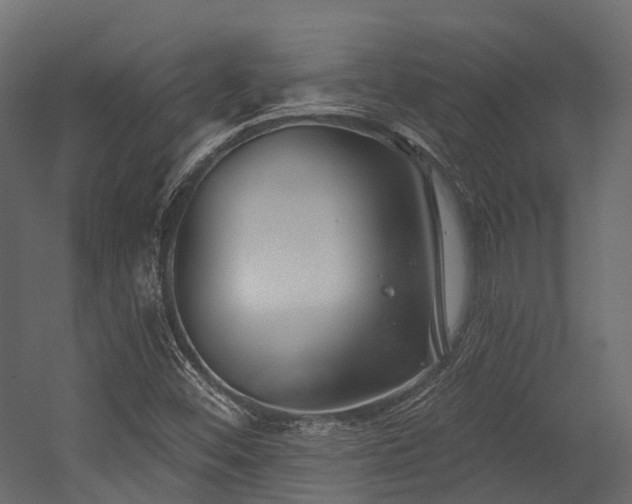 X0000054421452200507291236