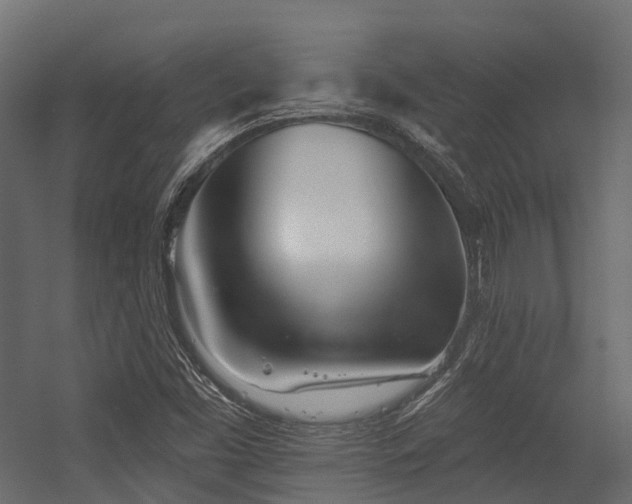 X0000054421453200507291236