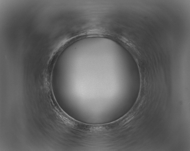 X0000054421454200507291236