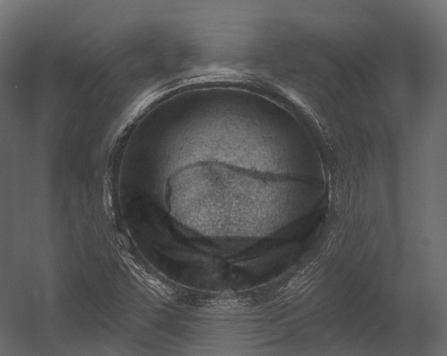 X0000054421455200507291236