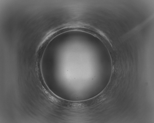 X0000054421456200507291236