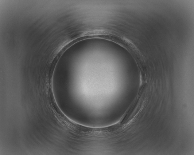 X0000054421457200507291236