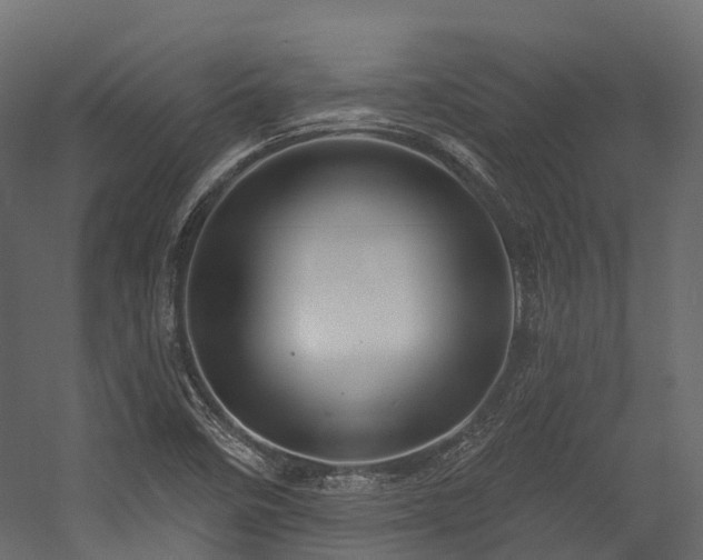 X0000054421458200507291236