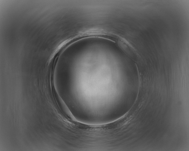 X0000054421461200507291236