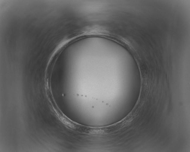 X0000054421462200507291236