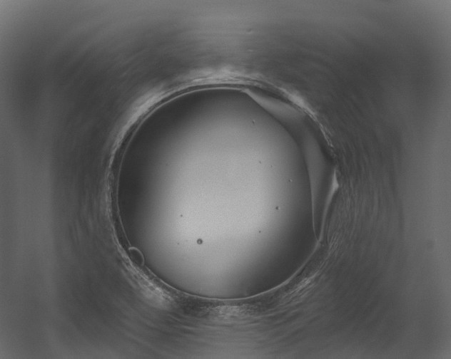 X0000054421463200507291236