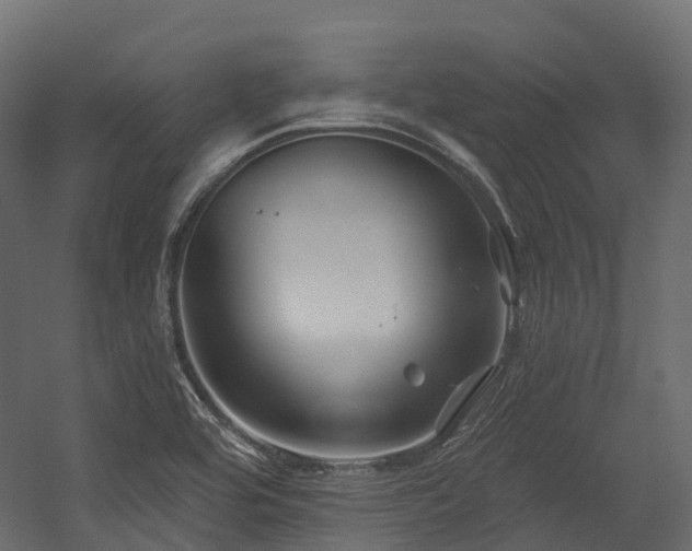 X0000054421464200507291236