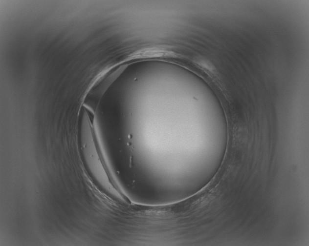 X0000054421465200507291236