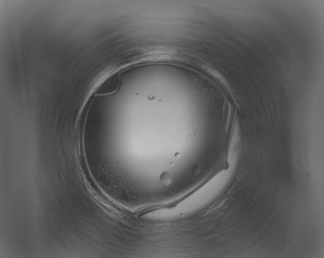 X0000054421467200507291236