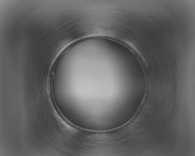 X0000054421468200507291236