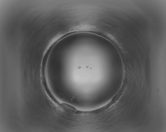 X0000054421469200507291236