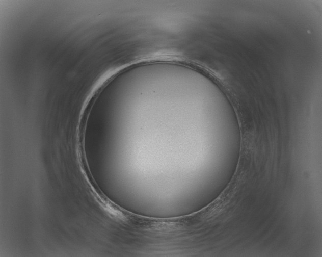 X0000054421470200507291236